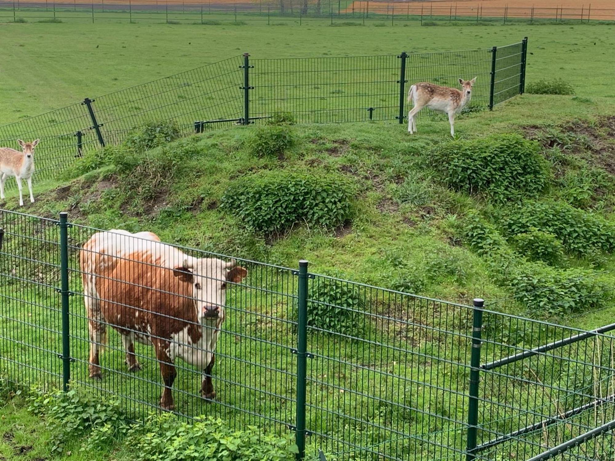 Onder Het Dak Van Brabant Mierlo Εξωτερικό φωτογραφία